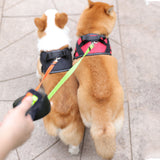 Dual Head Pet Leash Automatic Retractable 360 Degree Traction Rope Self Sealing Nylon Universal Dog Walking Chain